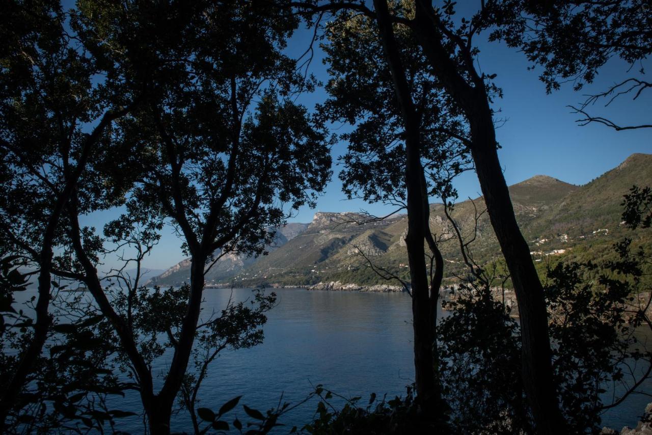 Hotel Amaranto Maratea Exteriér fotografie