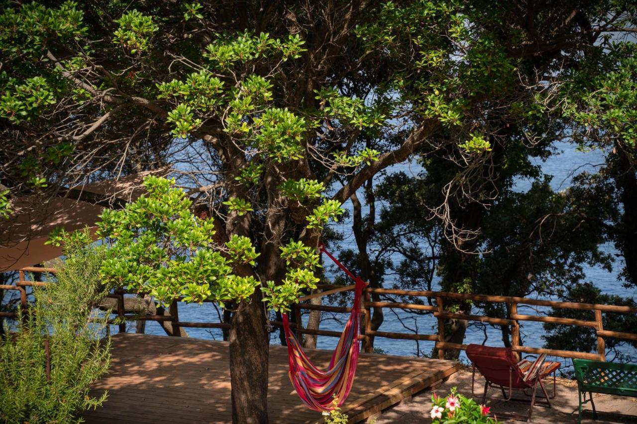 Hotel Amaranto Maratea Exteriér fotografie